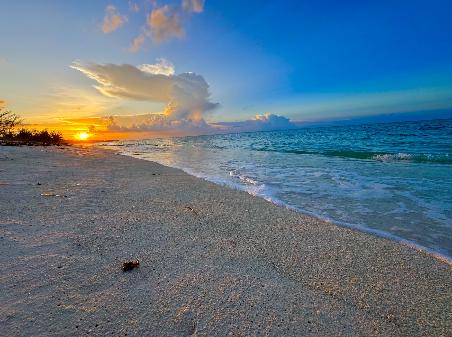 A peaceful beach scene during sunset; sandy shore with small pieces of driftwood, gentle waves, and a vibrant sky with clouds in shades of orange, yellow, and blue.