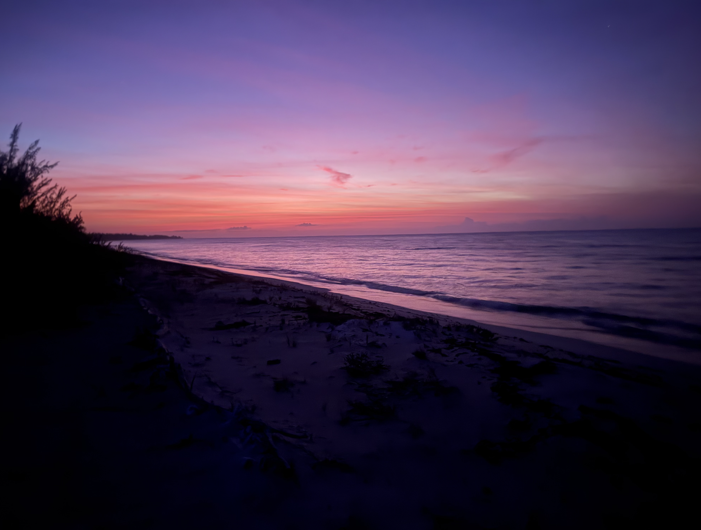 Sunset over a beach with pink and purple sky, gentle waves, and dark shoreline with some vegetation on the left.