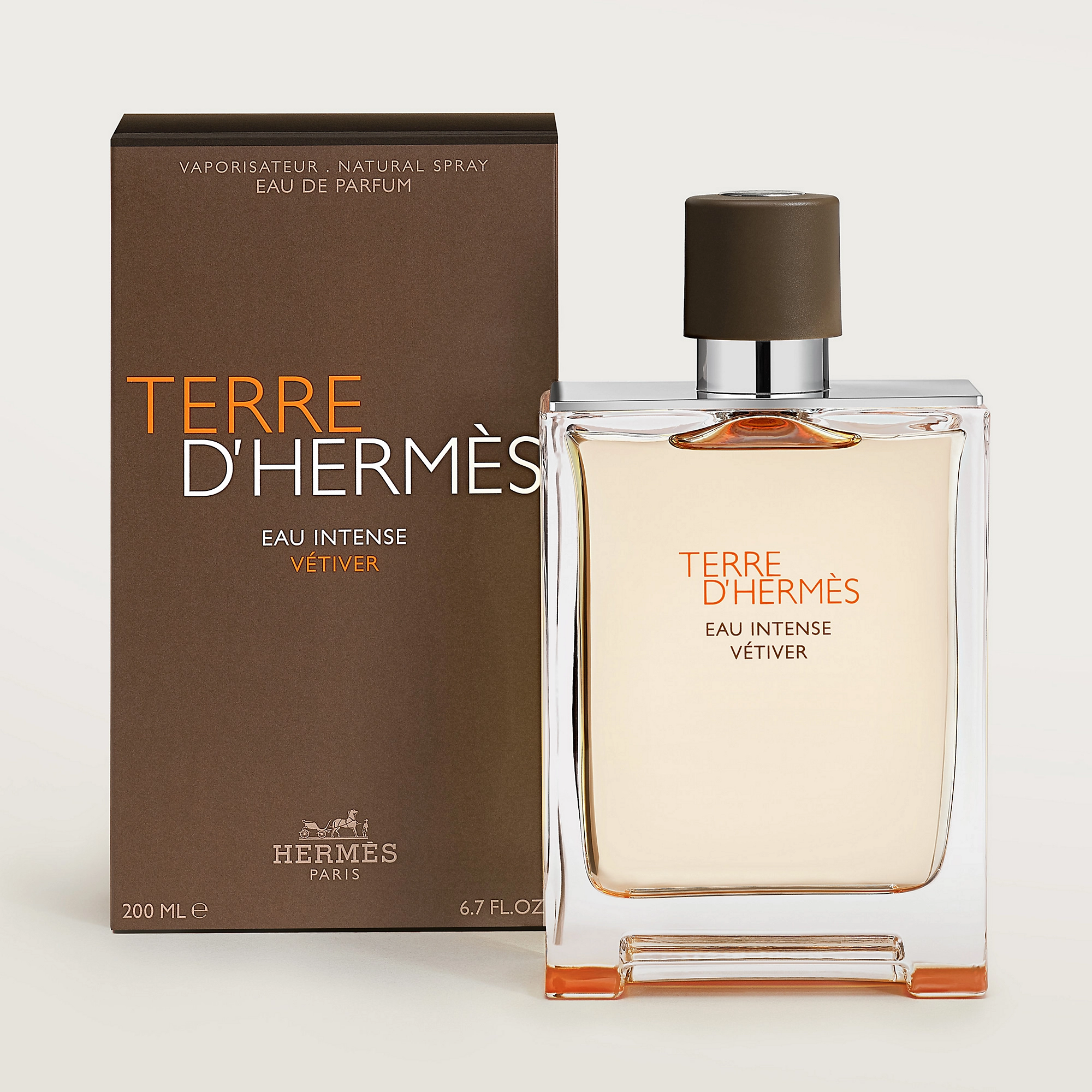 Terre D'Hermès Eau Intense Vétiver 6.png