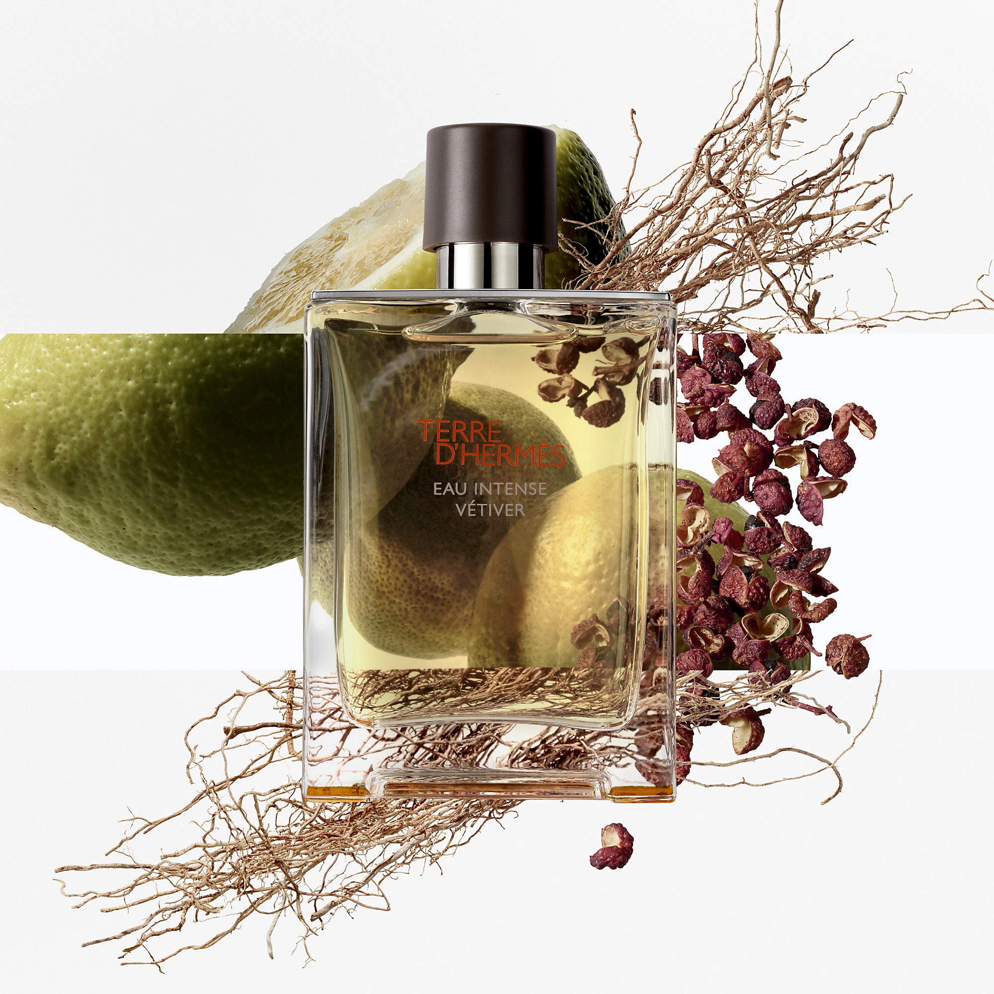 Terre D'Hermès Eau Intense Vétiver 3.png