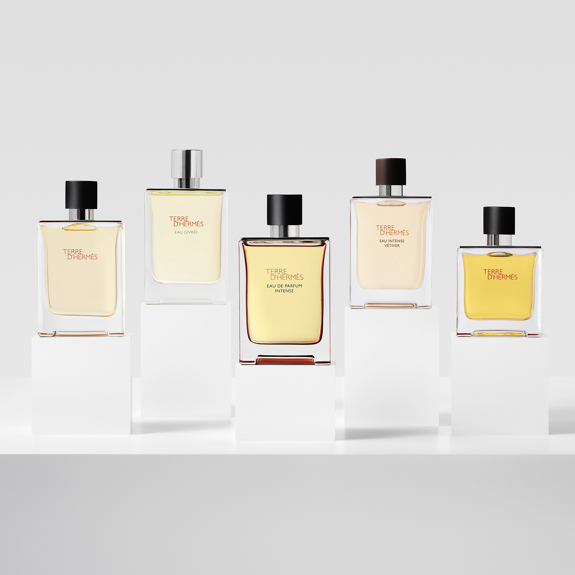 Terre D'Hermès Eau Intense Vétiver 4.png