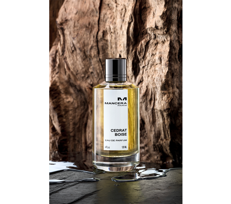 Cedrat Boise 4.png