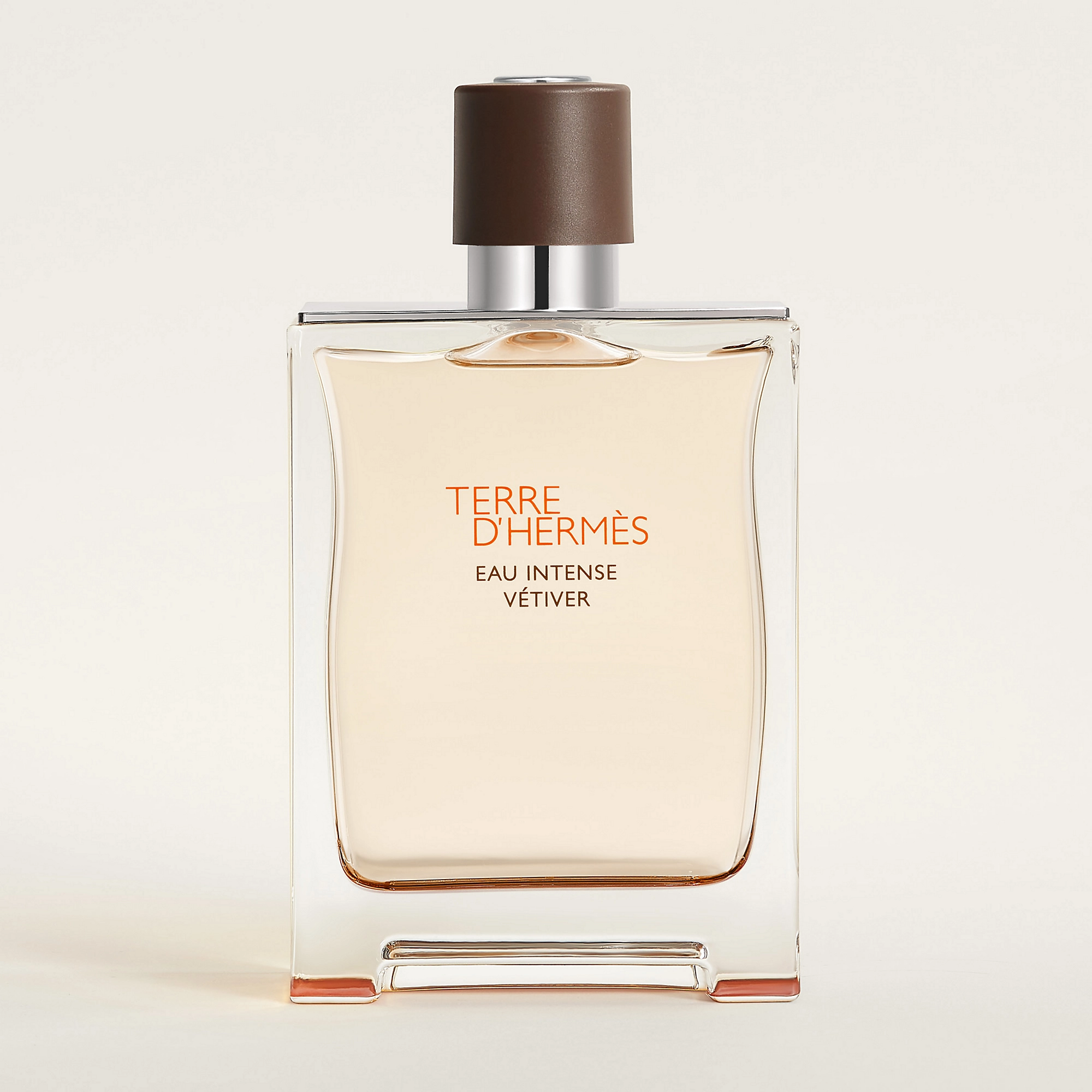 Terre D'Hermès Eau Intense Vétiver 5.png