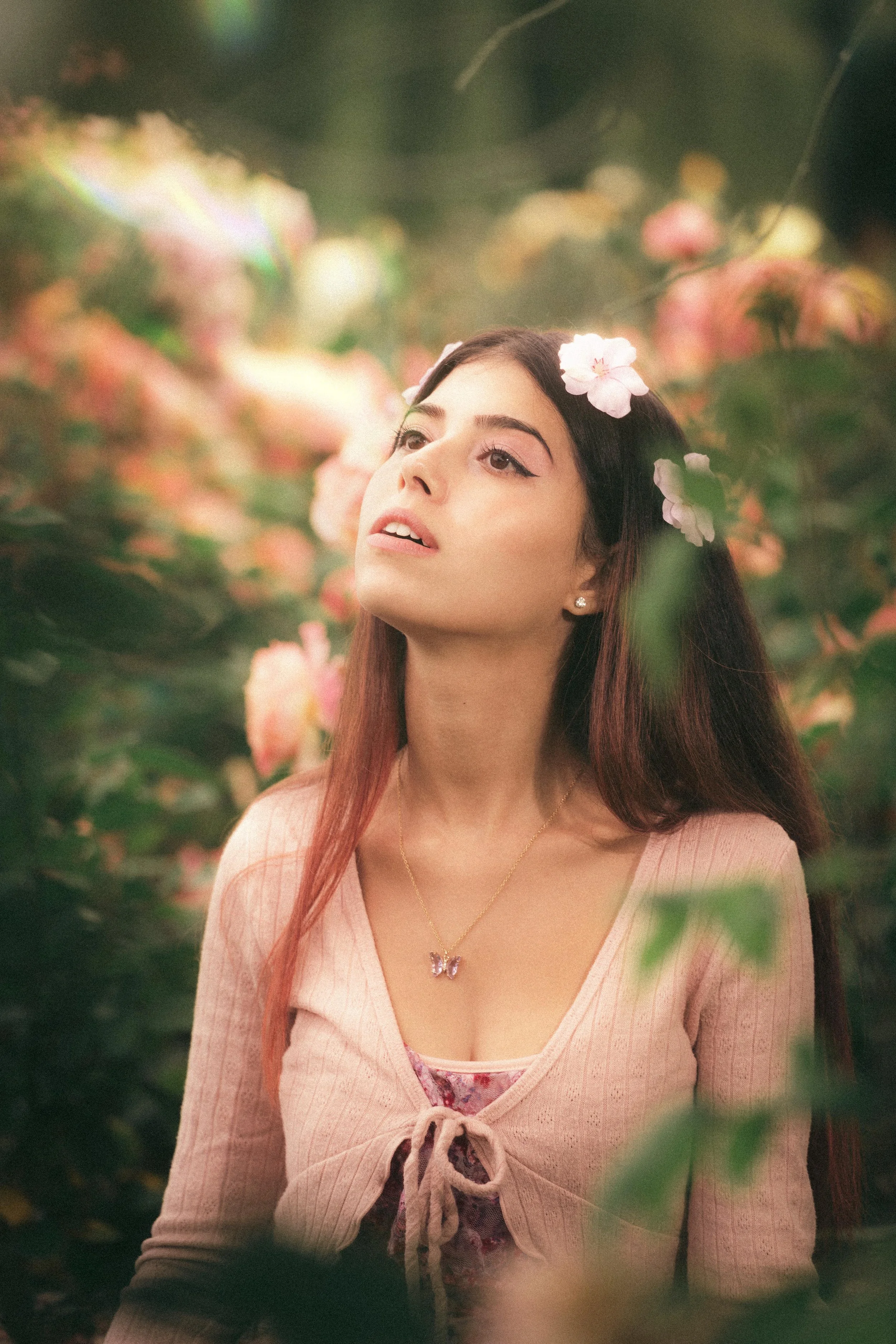 The bleeding woods 5