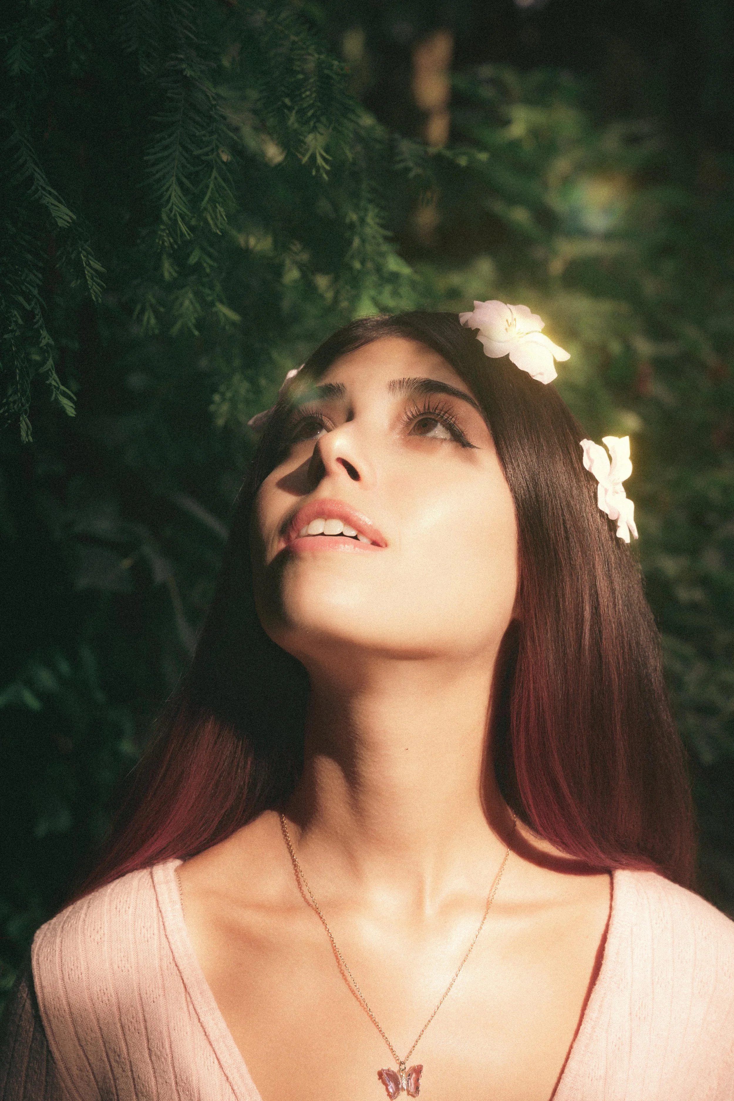 The bleeding woods 2