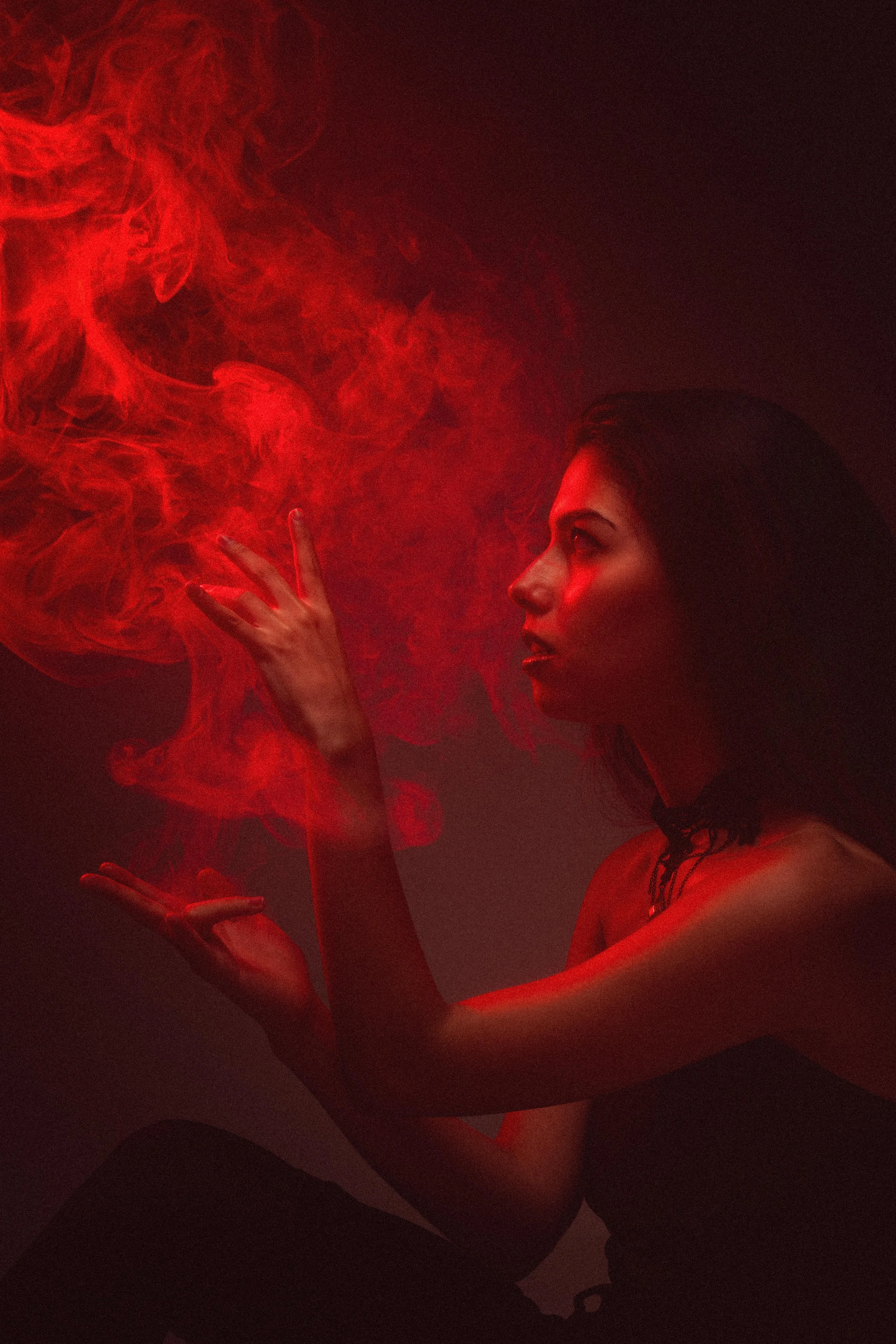 The bleeding woods 8