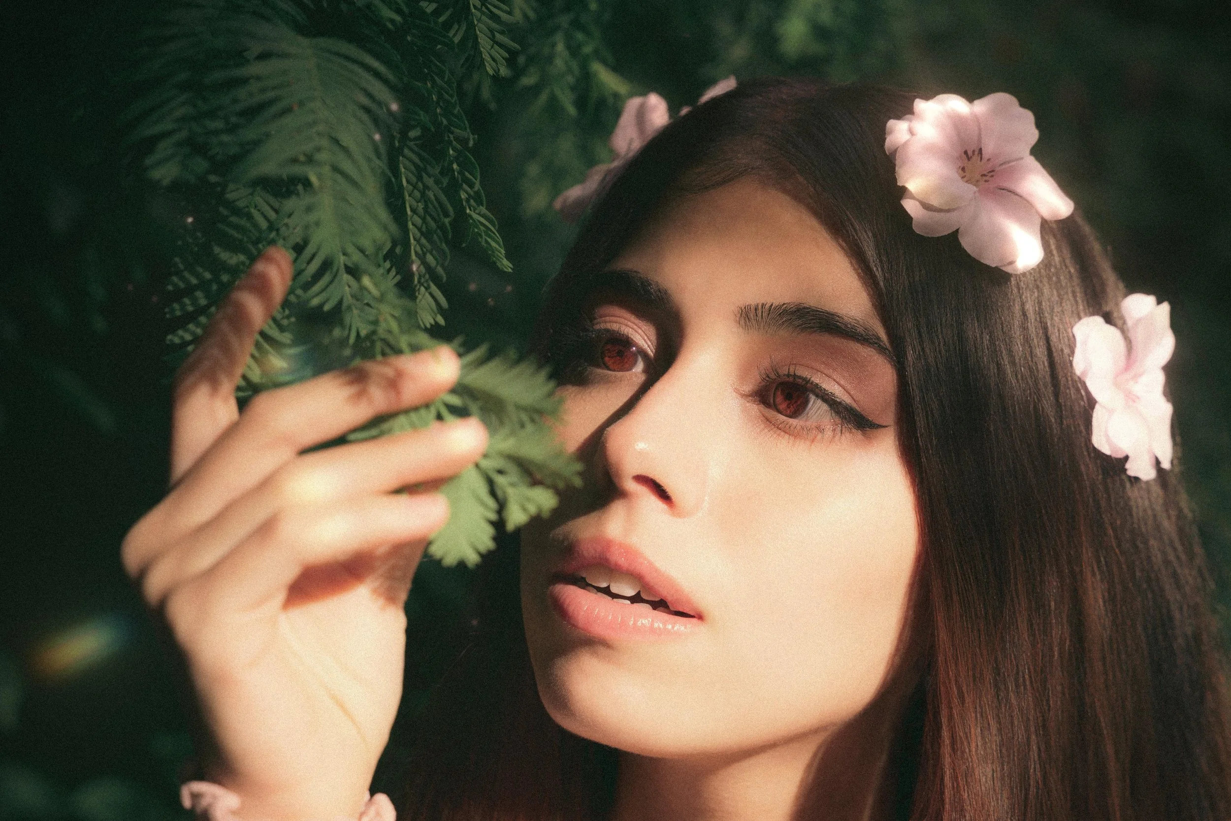 The bleeding woods 1