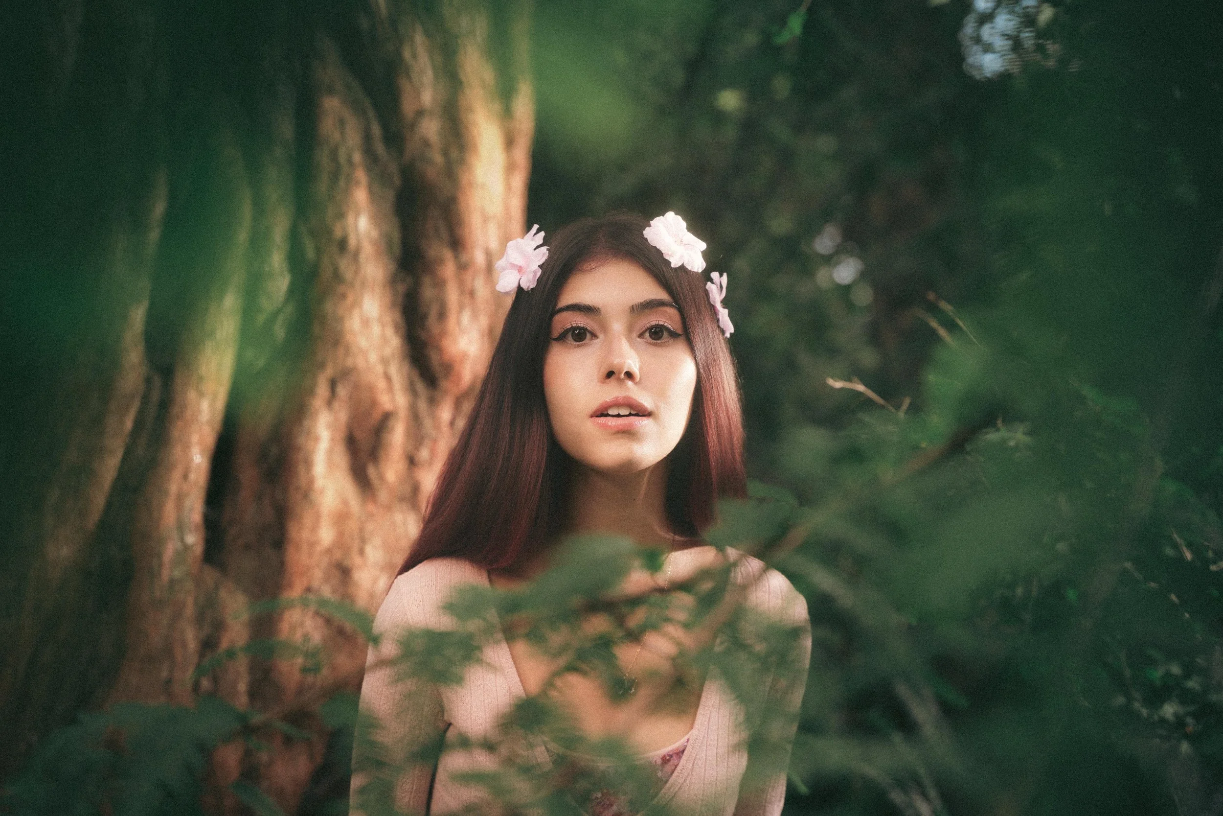 The bleeding woods 3