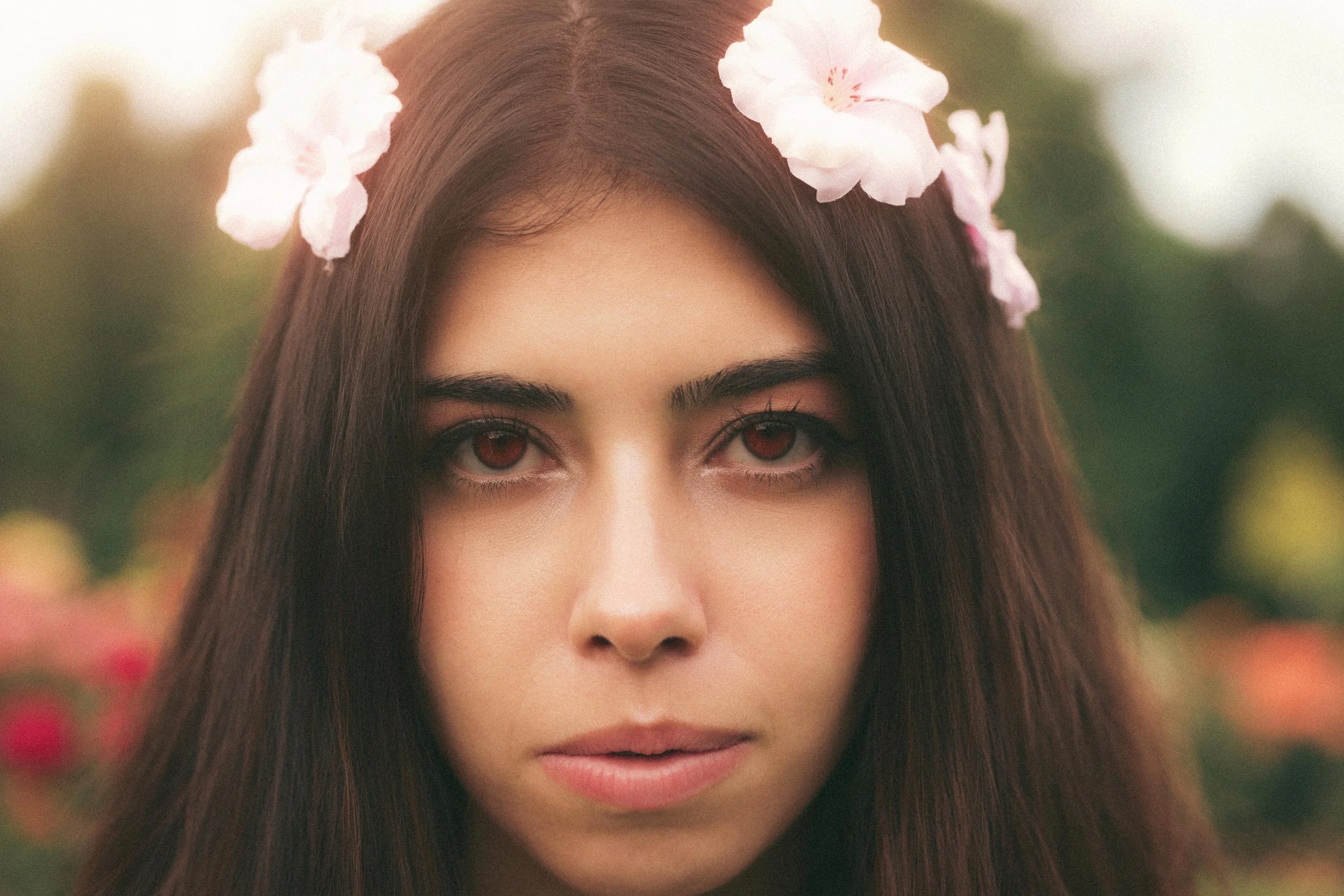 The bleeding woods 4