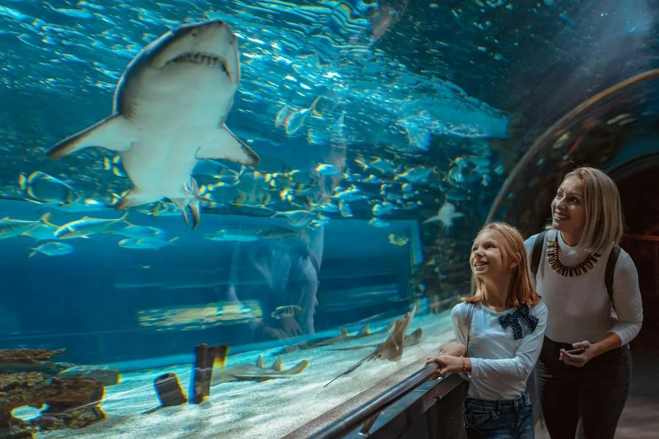 A woman and a young girl watching a shark and other fish through an aquarium window at an aquarium or zoo.