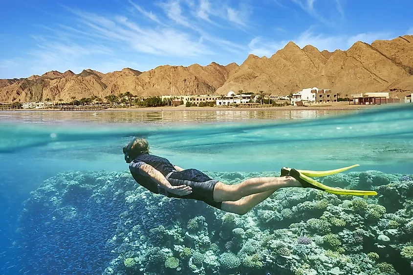 A person snorkeling in clear blue water above a coral reef with a mountain and buildings in the background.