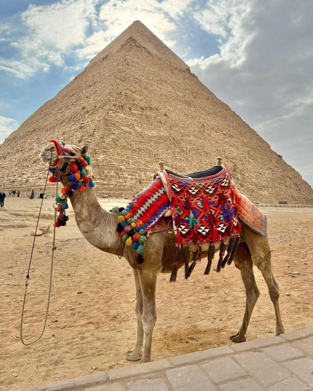 A camel decorated with colorful traditional adornments stands in front of a large pyramid, likely in Egypt, with a cloudy sky overhead.