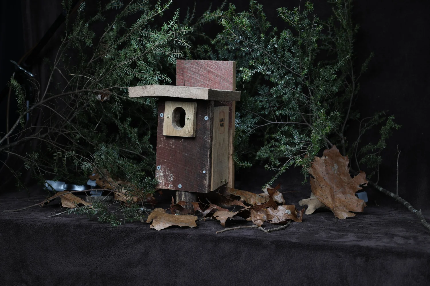 Bird Boxes | Support Native Birds - Shop Durable Bird Boxes — Wildly Made