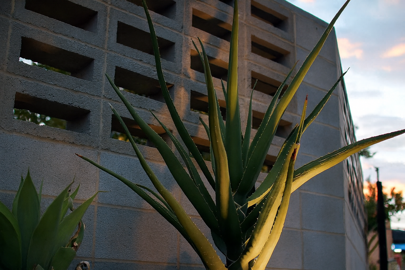 Bessa Block Feature.png