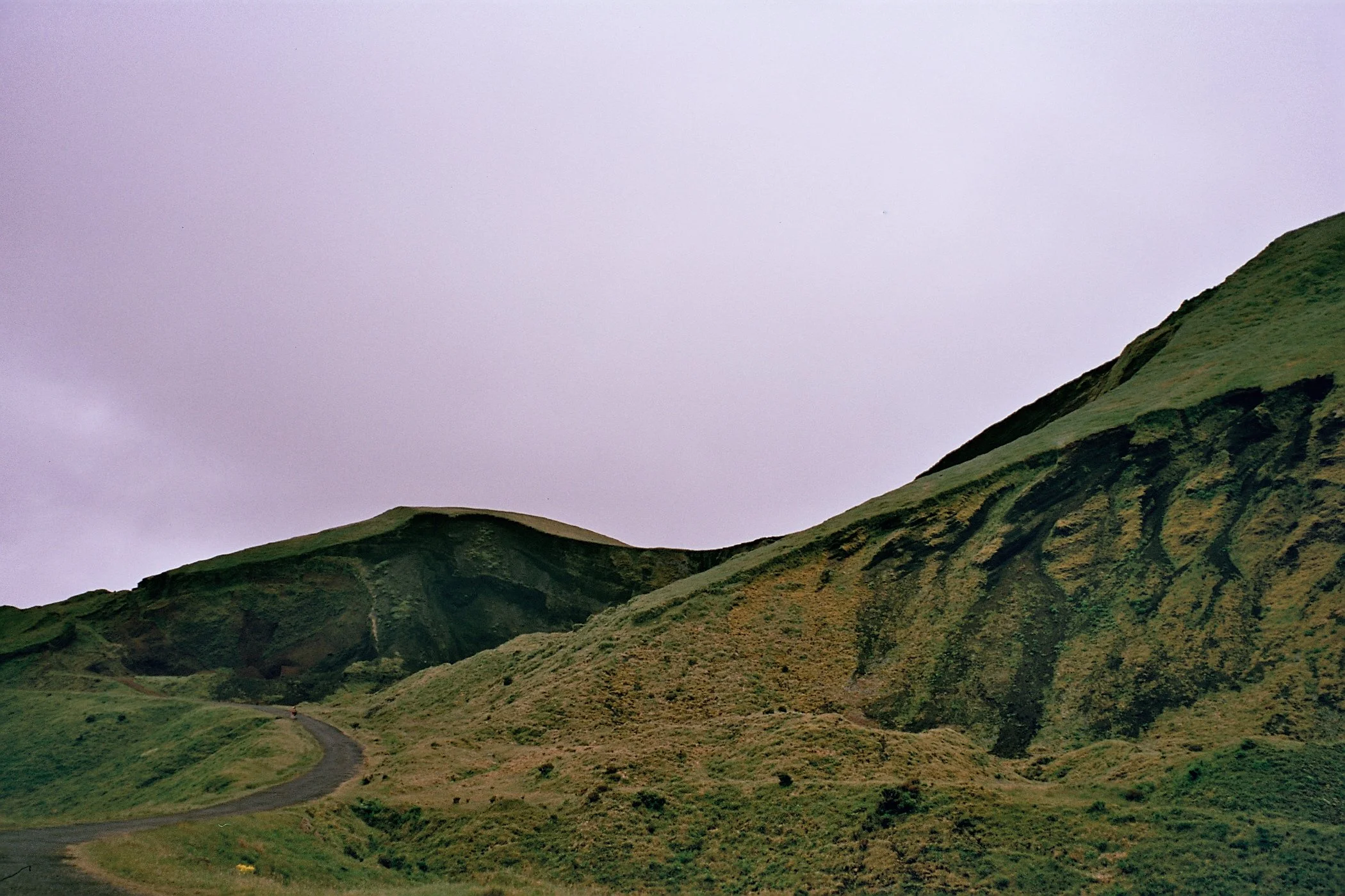 Negative0-15-15(1).jpg
