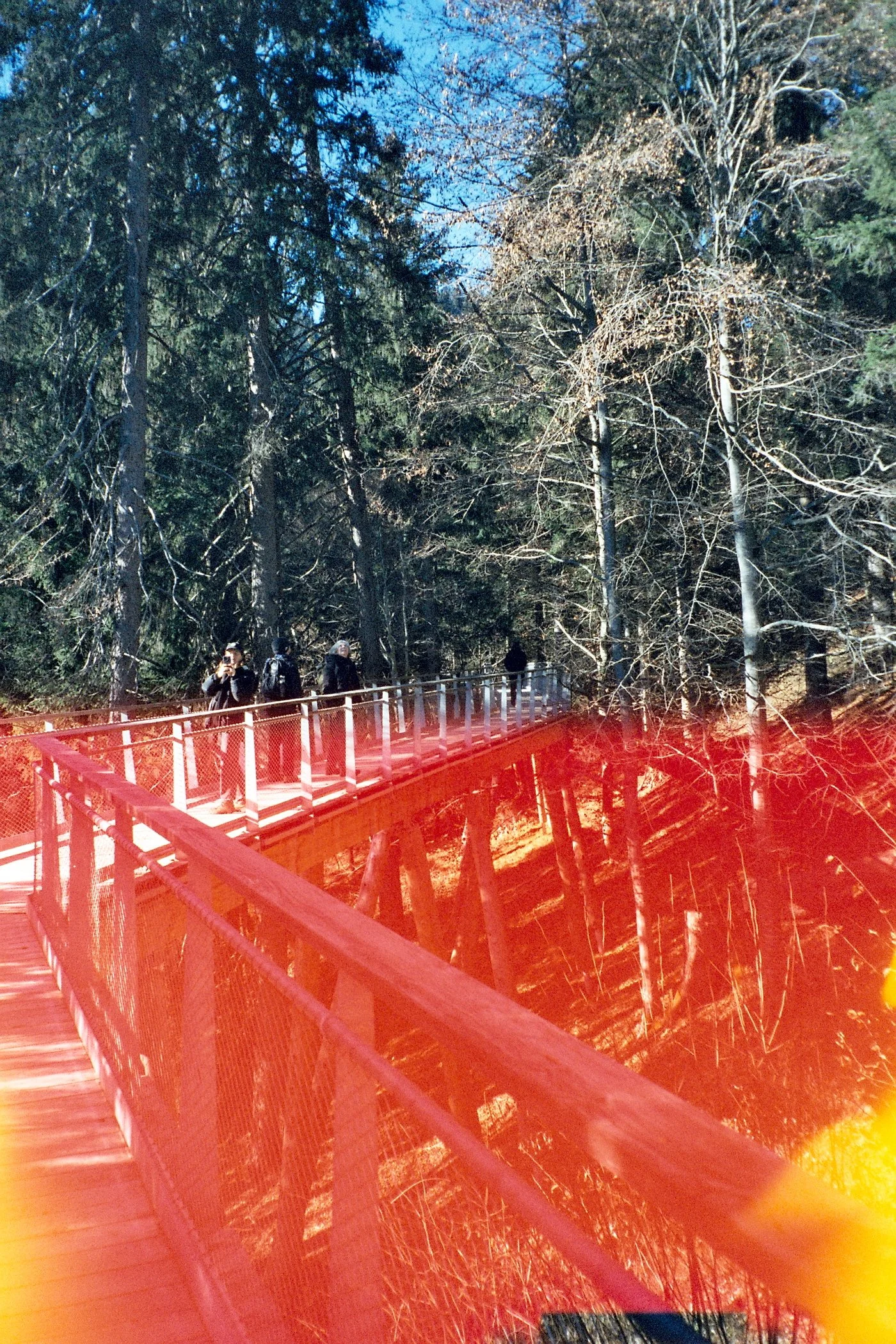 Negative0-34-34(1).jpeg