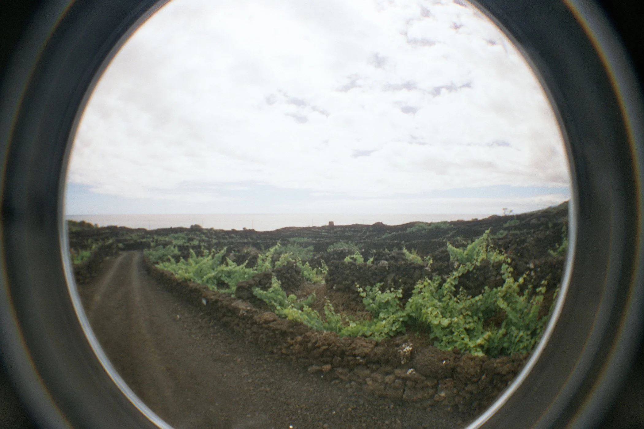 Negative0-11-11(1).jpg