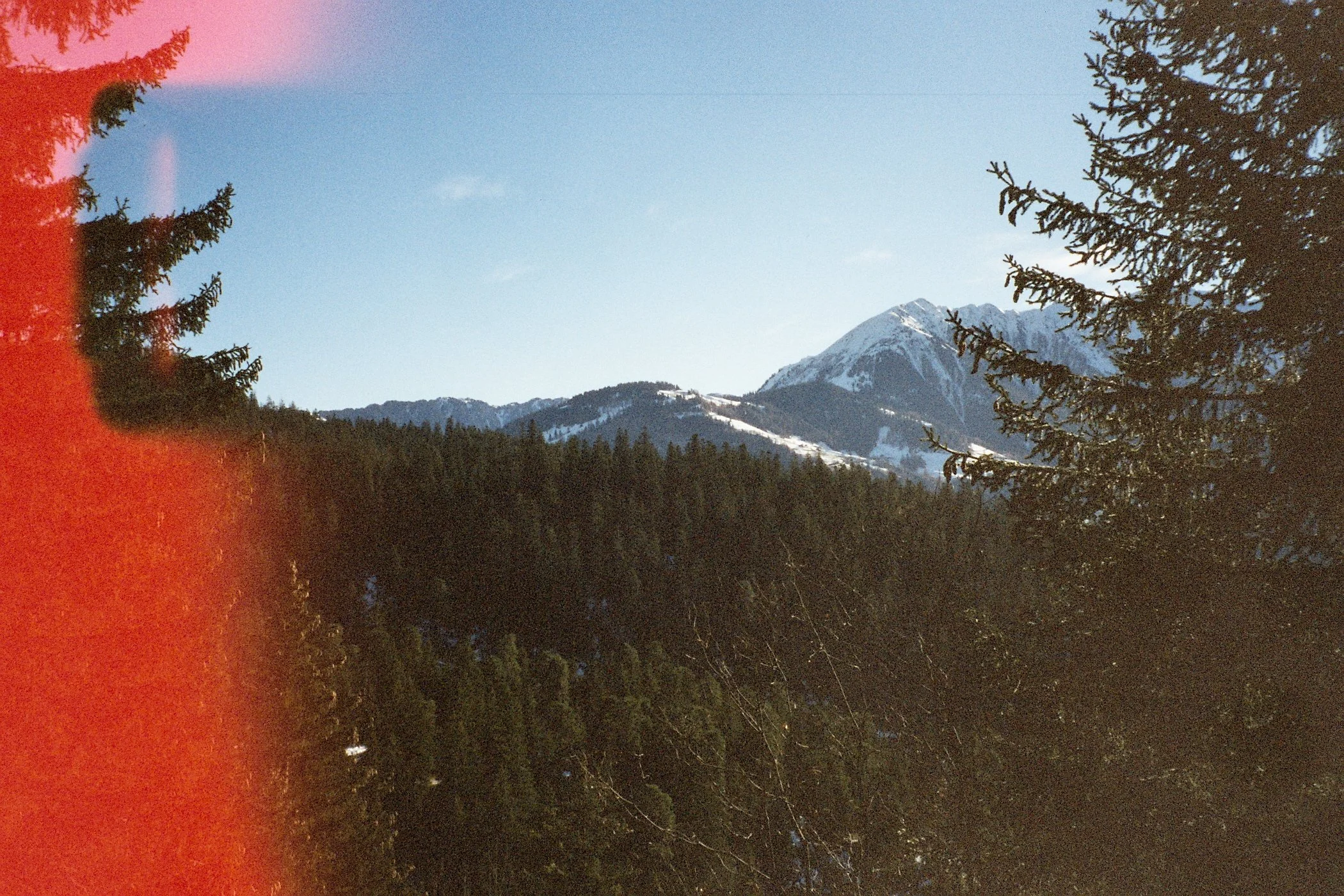 Negative0-33-33(1).jpeg