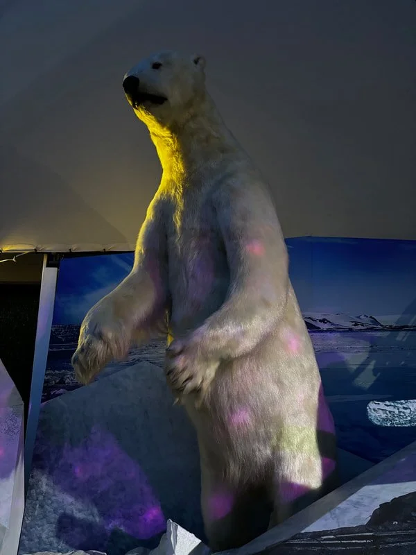 Una grande mascotte di un orso polare in piedi con il muso rivolto verso lato superiore, sotto luci colorate, in un ambiente che sembra un’esposizione o un museo con immagini di paesaggi artici.