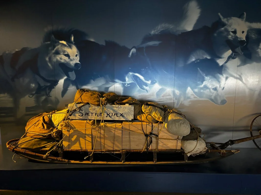 Una slitta con attrezzature da alpinismo posizionata davanti a un mural di alci e cani da slitta