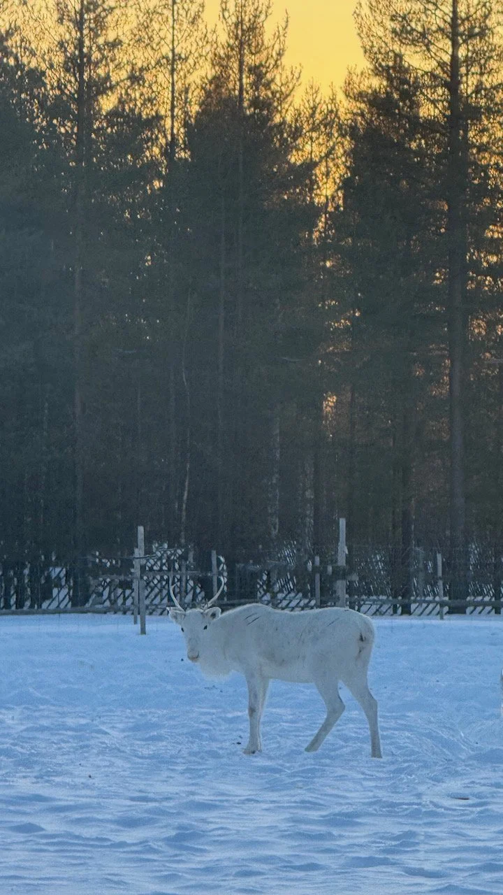 Foto 20-03-25, 17 47 55.jpeg