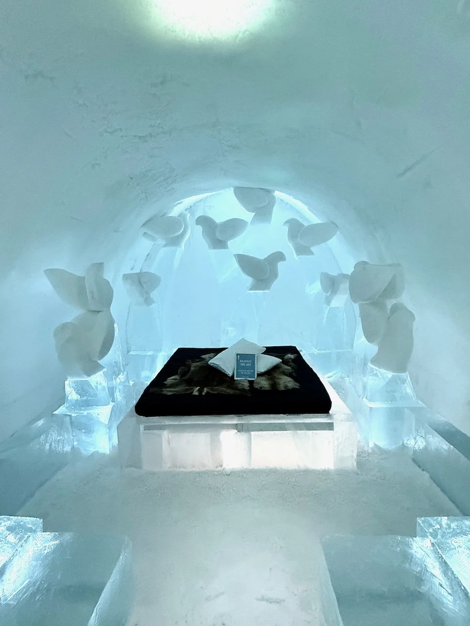 Foto 15-03-25, 10 41 28.jpeg