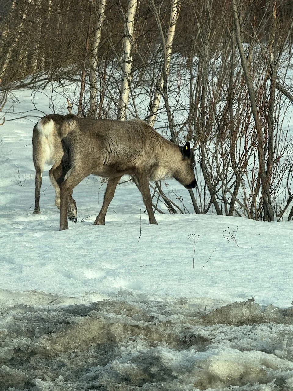 Foto 22-03-25, 07 57 15.jpeg