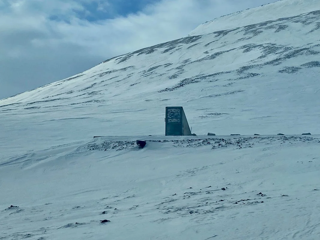 La banca dei semi a Longyearbyen alle Svalbard, struttura in pietra situata in un paesaggio innevato con una grande montagna sullo sfondo.