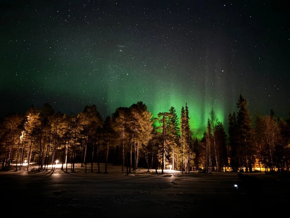 Foresta illuminata dalla luce dell'aurora boreale verde nel cielo notturno stellato nella Lapponia finlandese.