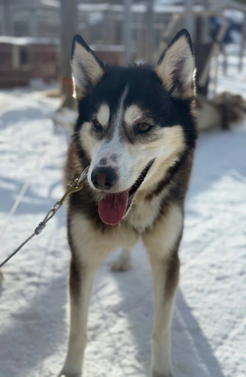 Foto 20-03-25, 12 27 21.jpeg