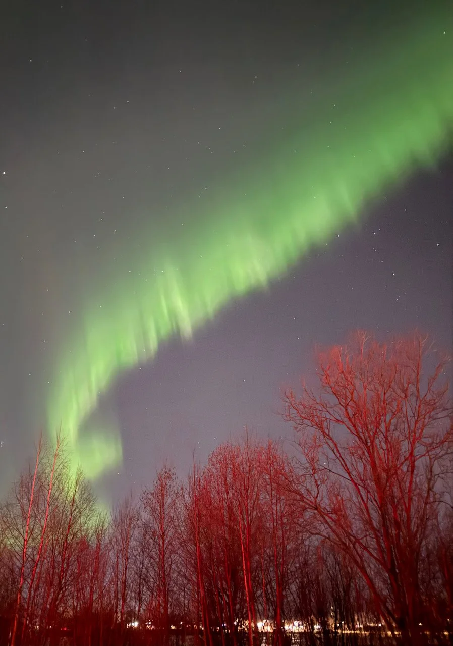 Foto 22-03-25, 22 00 51.jpeg