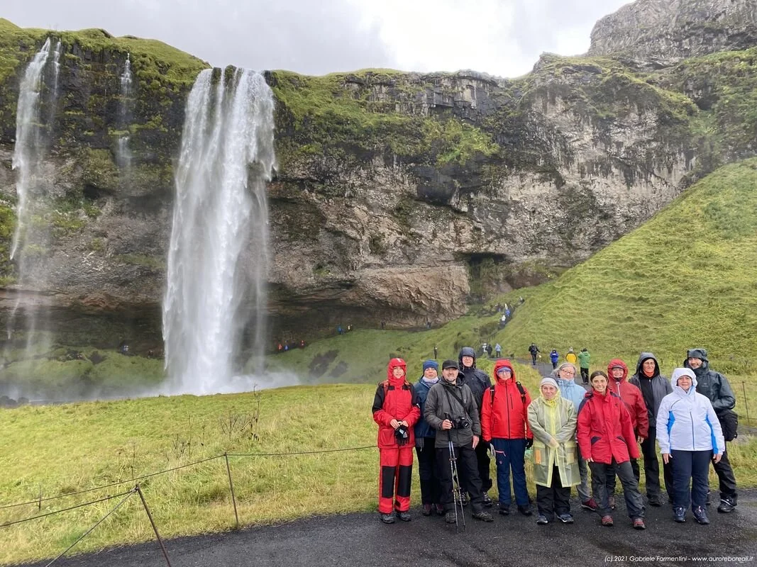 Gruppo di persone in abbigliamento da escursione davanti a una cascata zampillante in un paesaggio verdeggiante dell'Islanda.