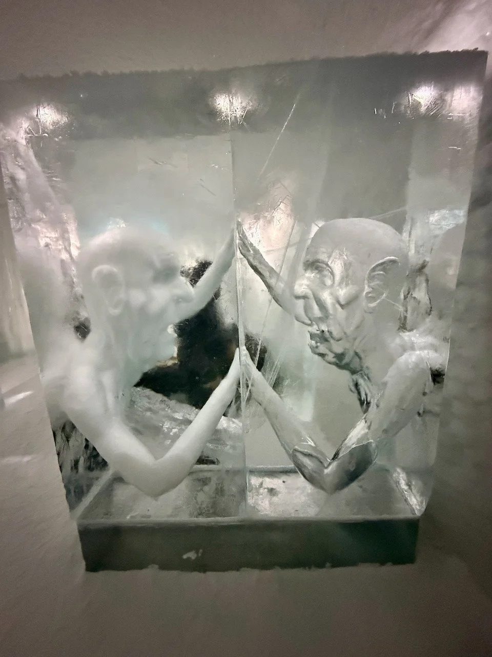 Foto 15-03-25, 10 56 27.jpeg