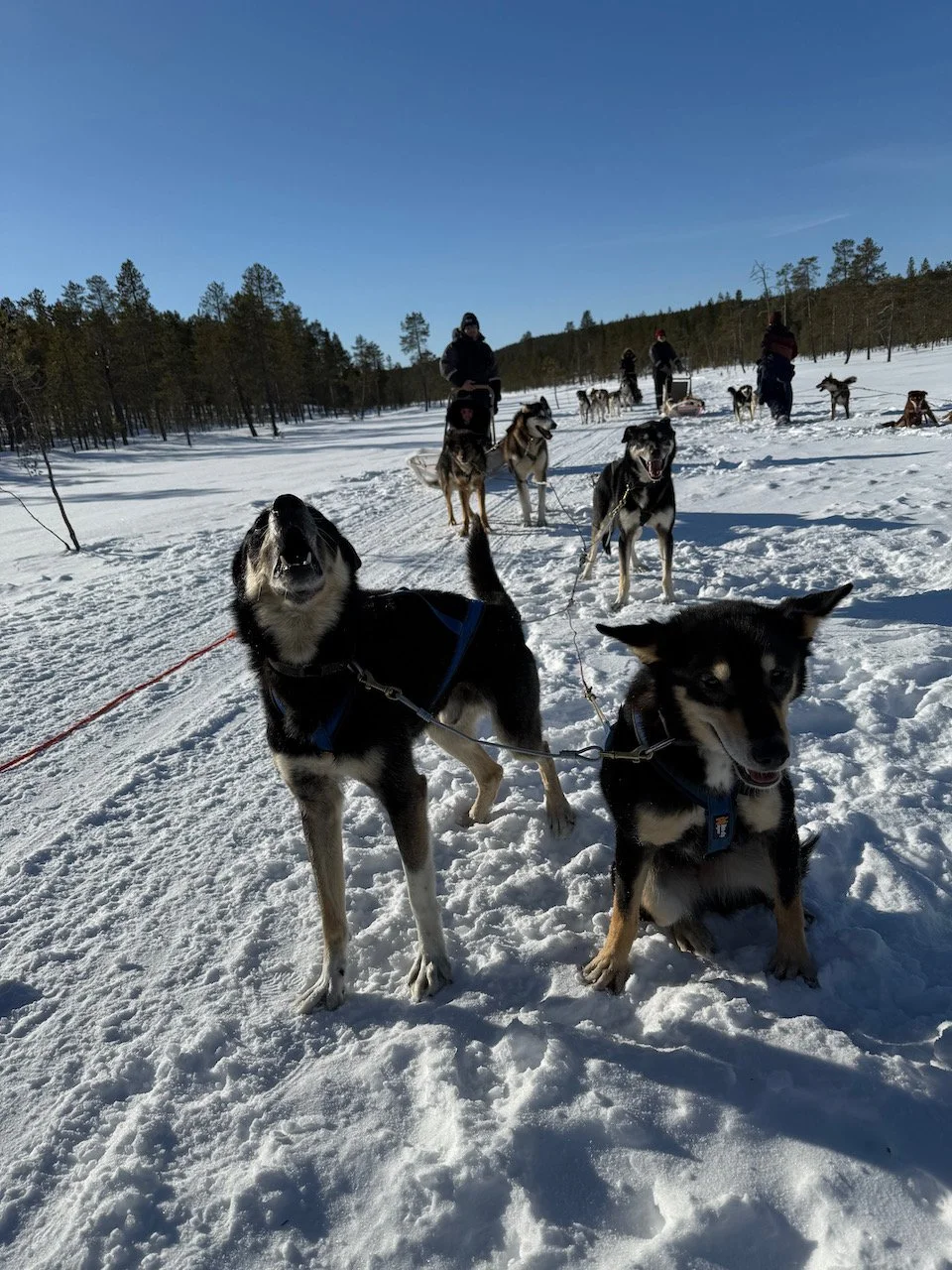 Foto 20-03-25, 11 48 40.jpeg