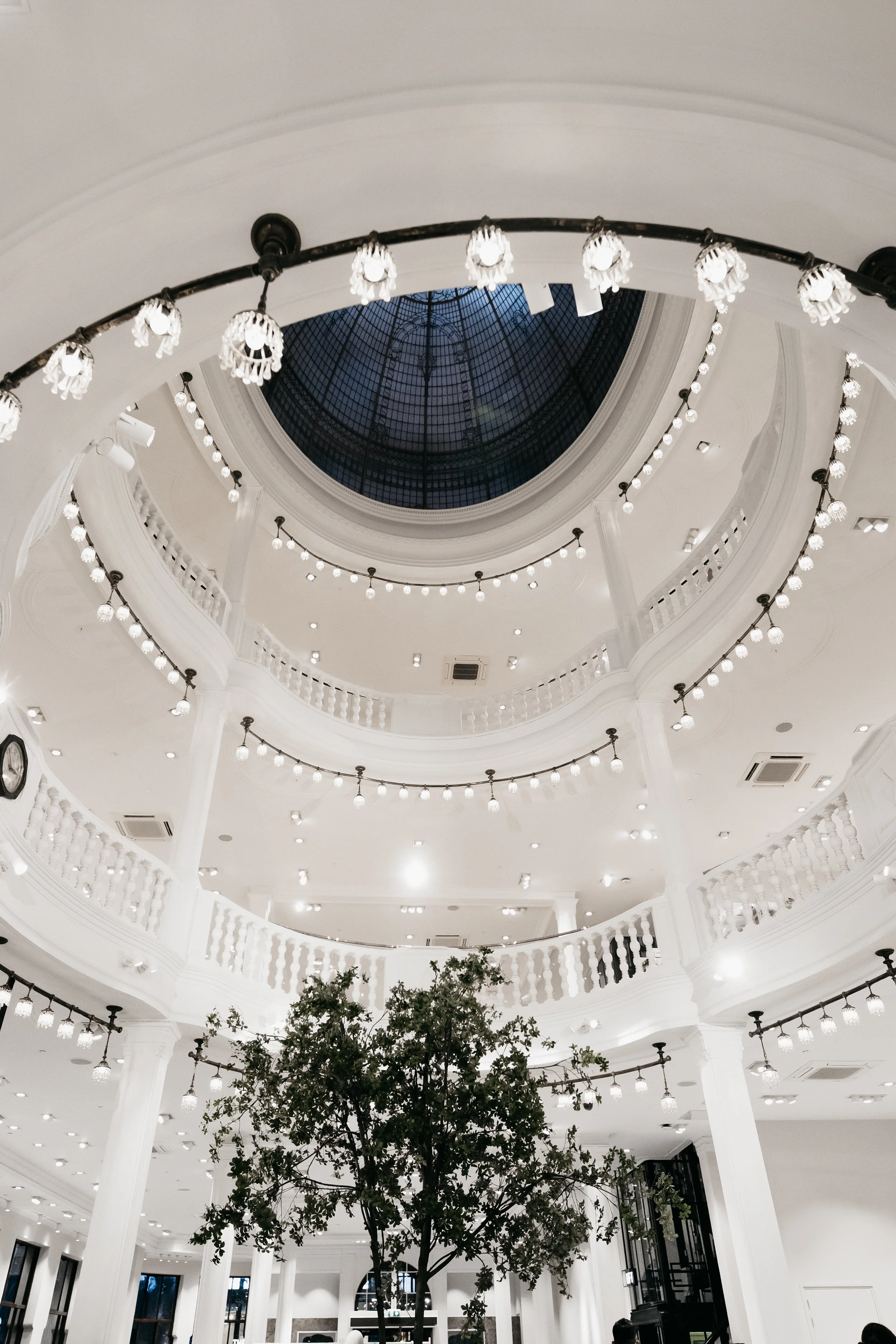 Interior of a grand, white building with a domed glass ceiling, multiple levels with white balustrades, and string lights hanging from the ceiling. A large tree is in the center of the lower level.