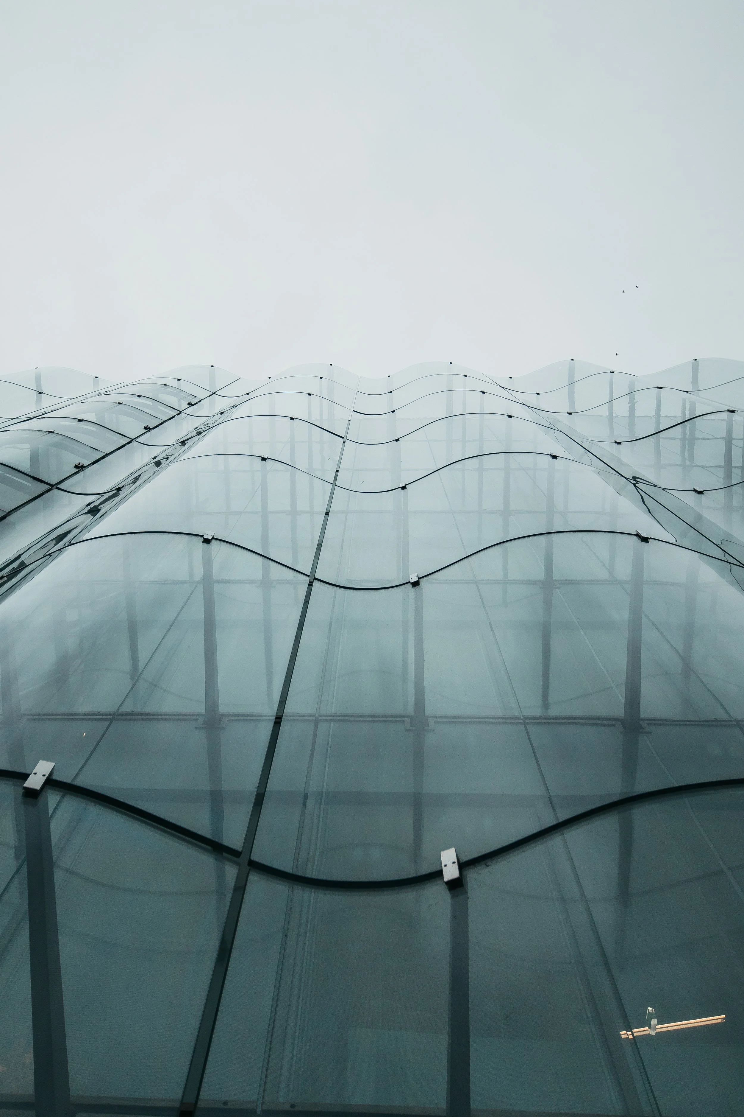 A modern building with a glass facade featuring wavy metal framing, viewed from below on a foggy day. architecture photography