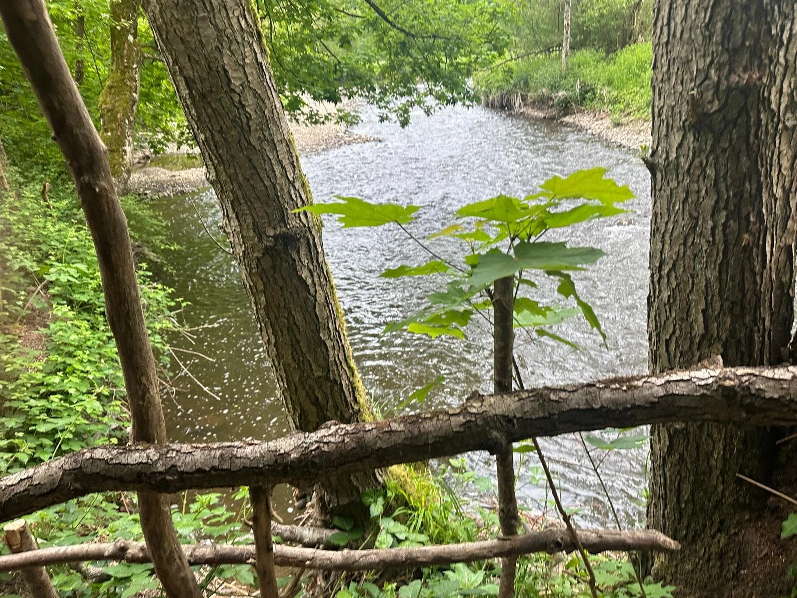 WhatsApp Image 2025-12-16 at 11.43.03-2.jpeg