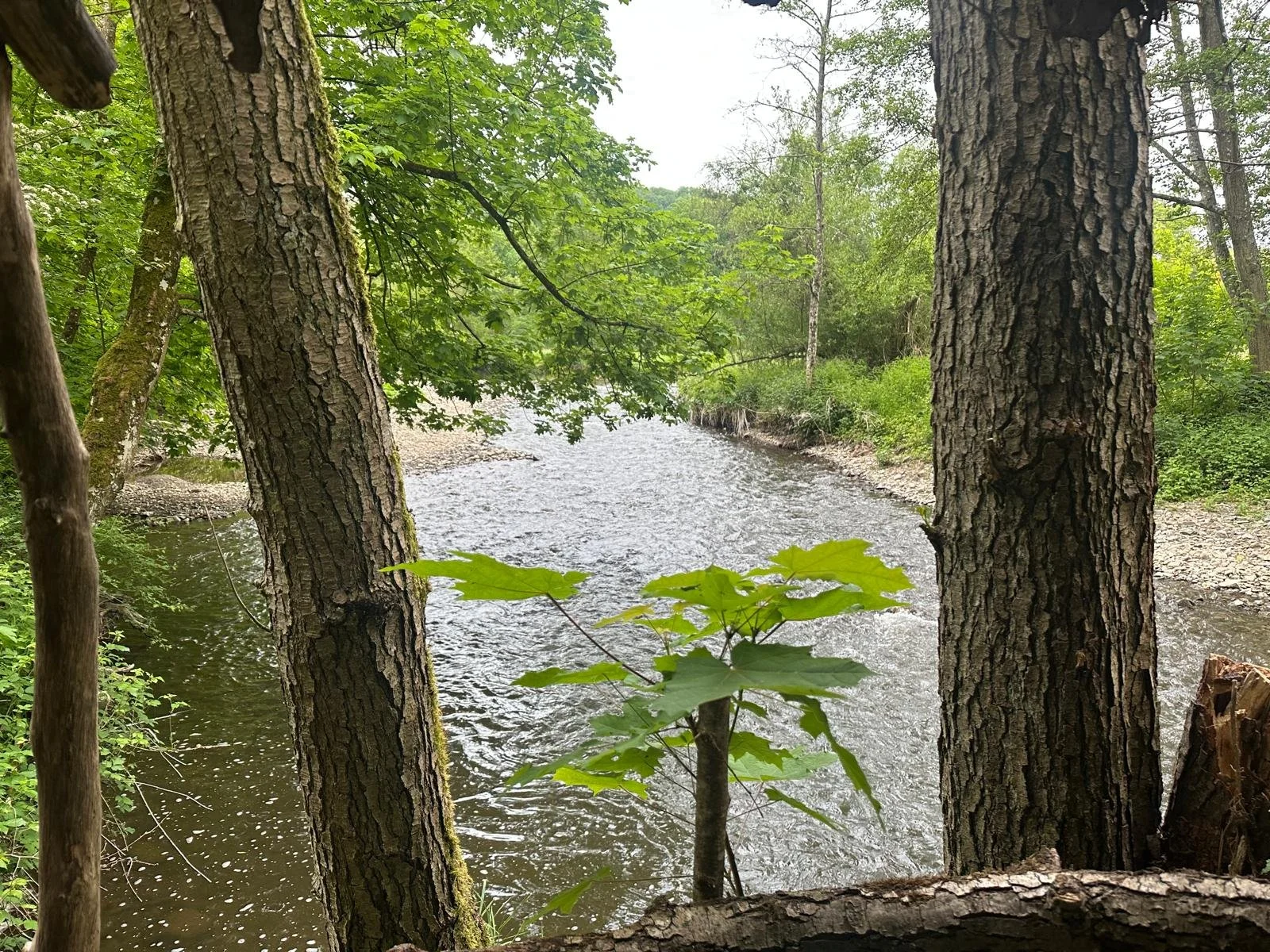 WhatsApp Image 2025-12-16 at 11.43.03.jpeg