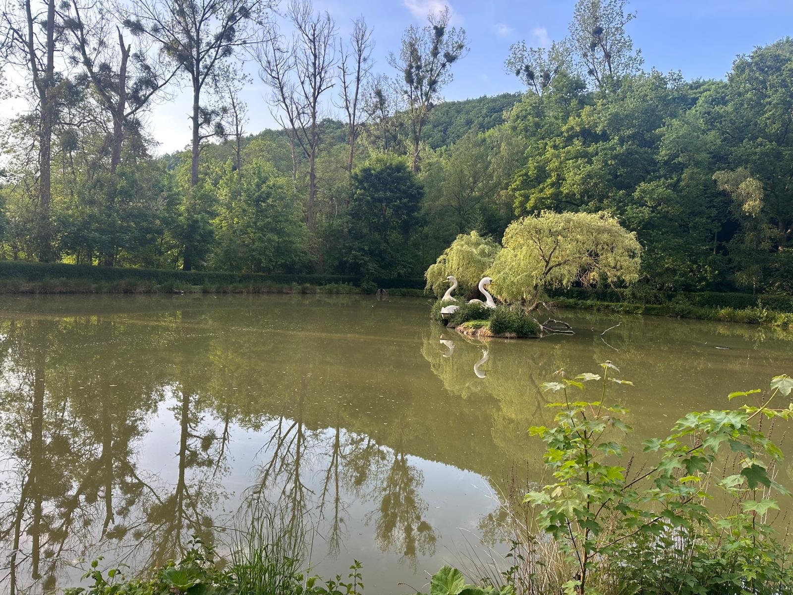 WhatsApp Image 2025-12-16 at 11.43.02-4.jpeg