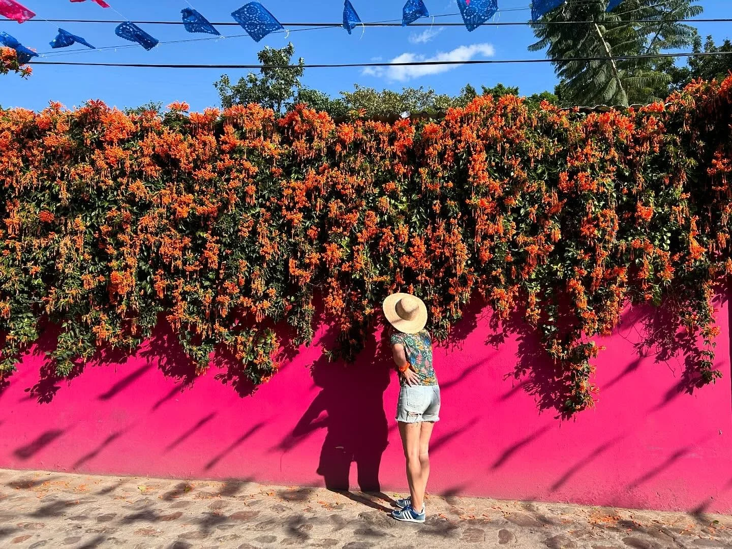 Aucun filtre. 🩷💜💚🧡💛