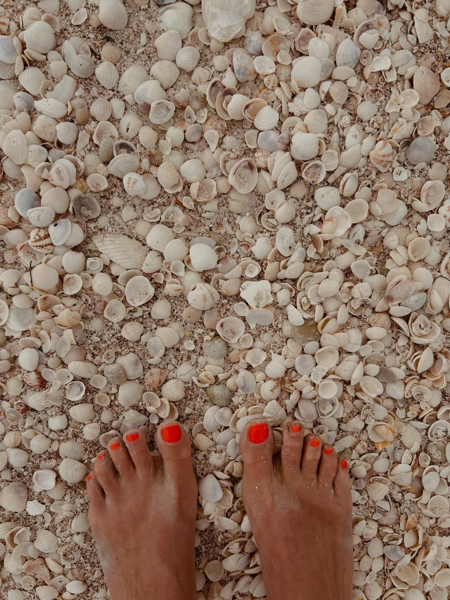 Ma petite joie. 
🦶 🐚