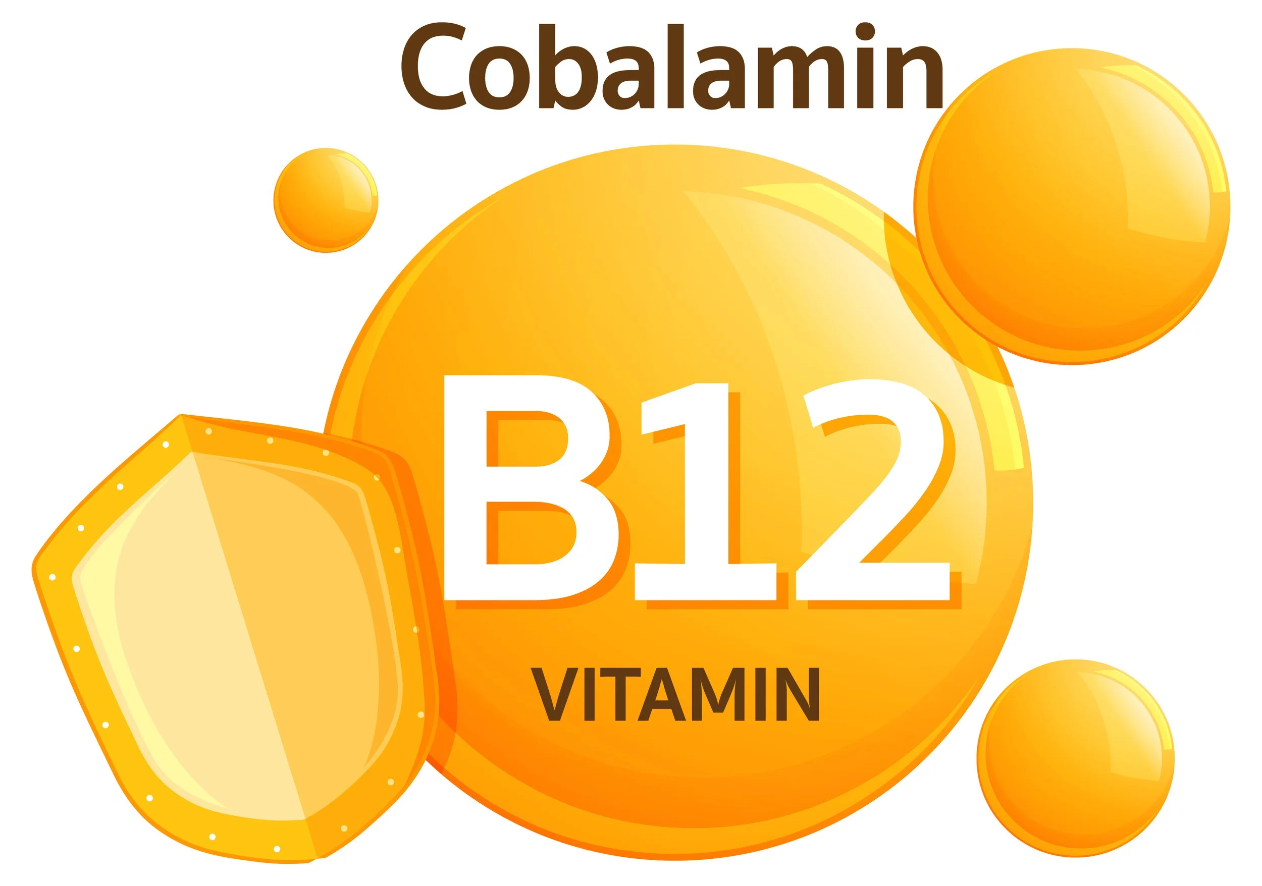 Vitamin B12 Blood Test