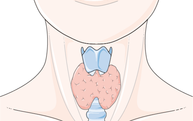 Advanced Thyroid Profile