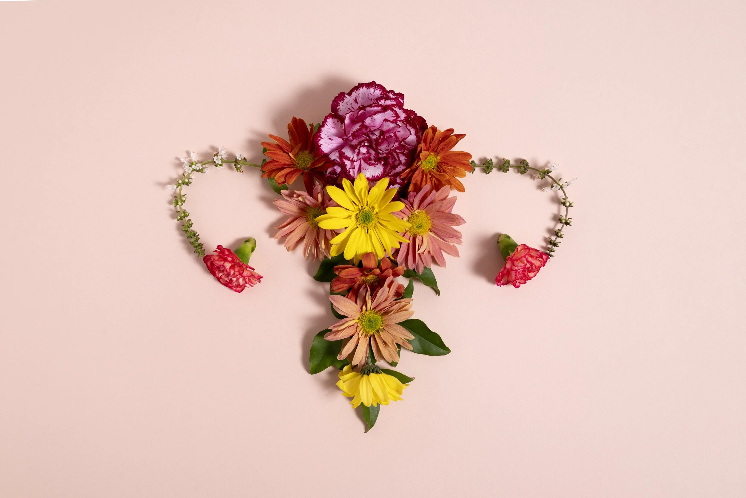 MENOPAUSE INSIGHT PANEL