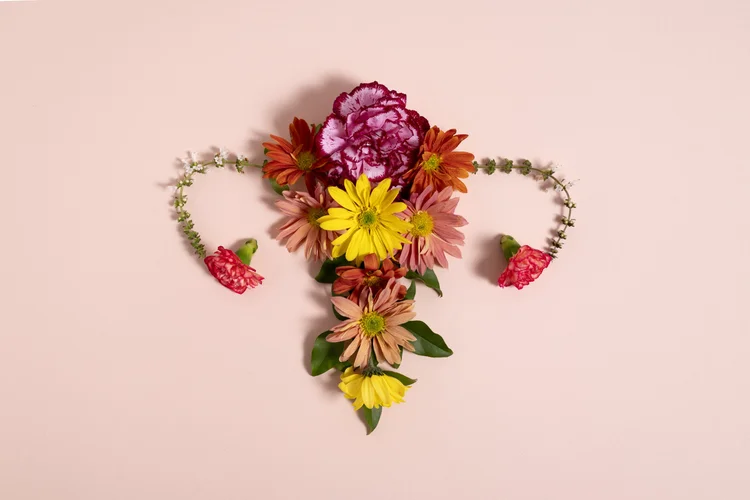 Menopause Insight Panel