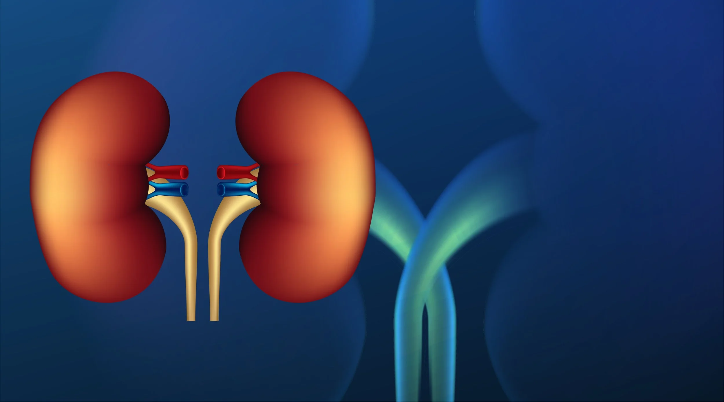 Advanced Kidney Function Test