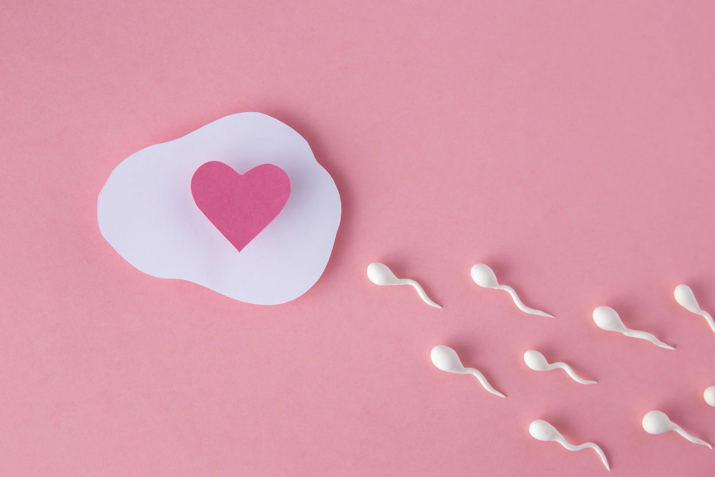 Fertility Insight Panel