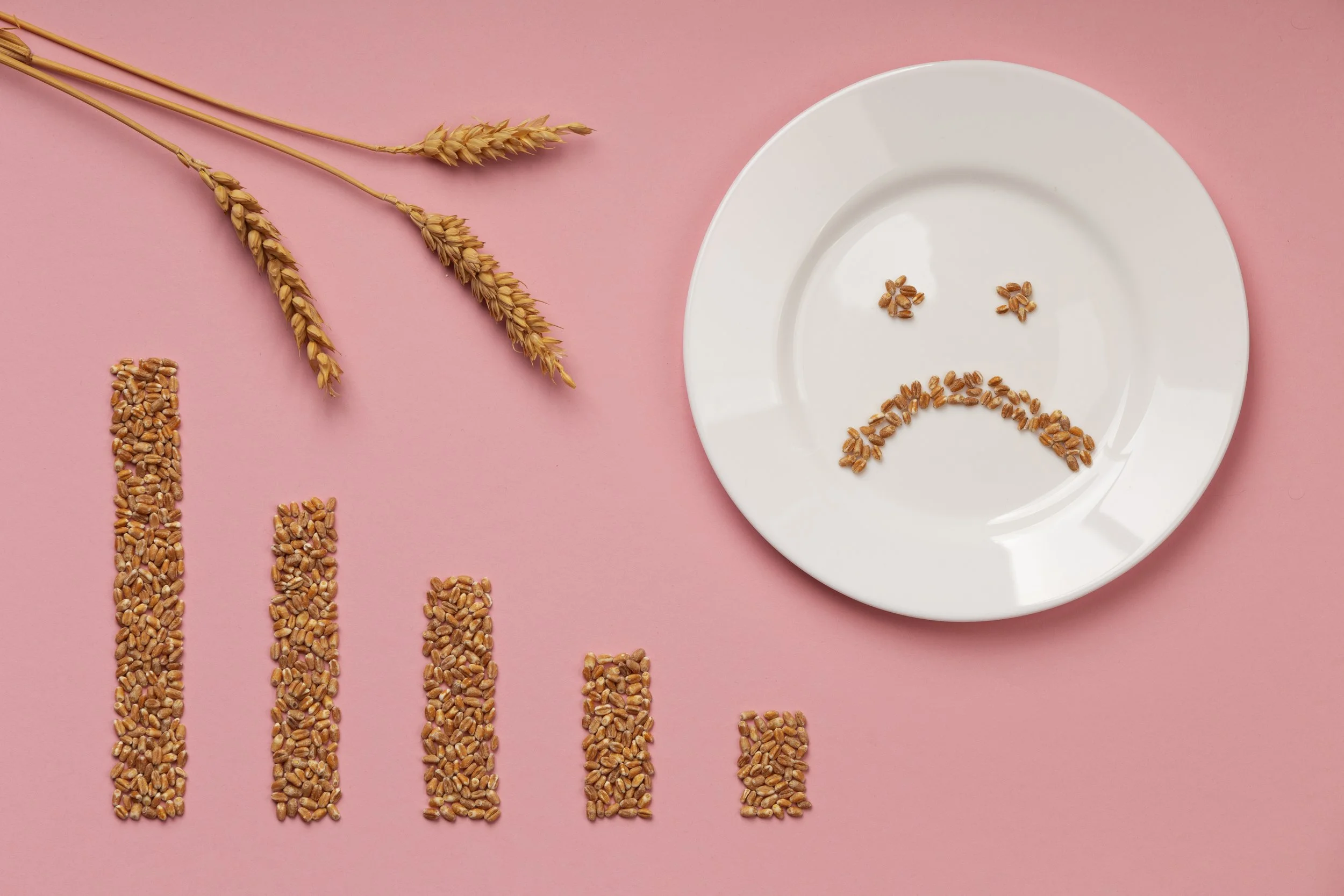 Gluten Allergy Panel