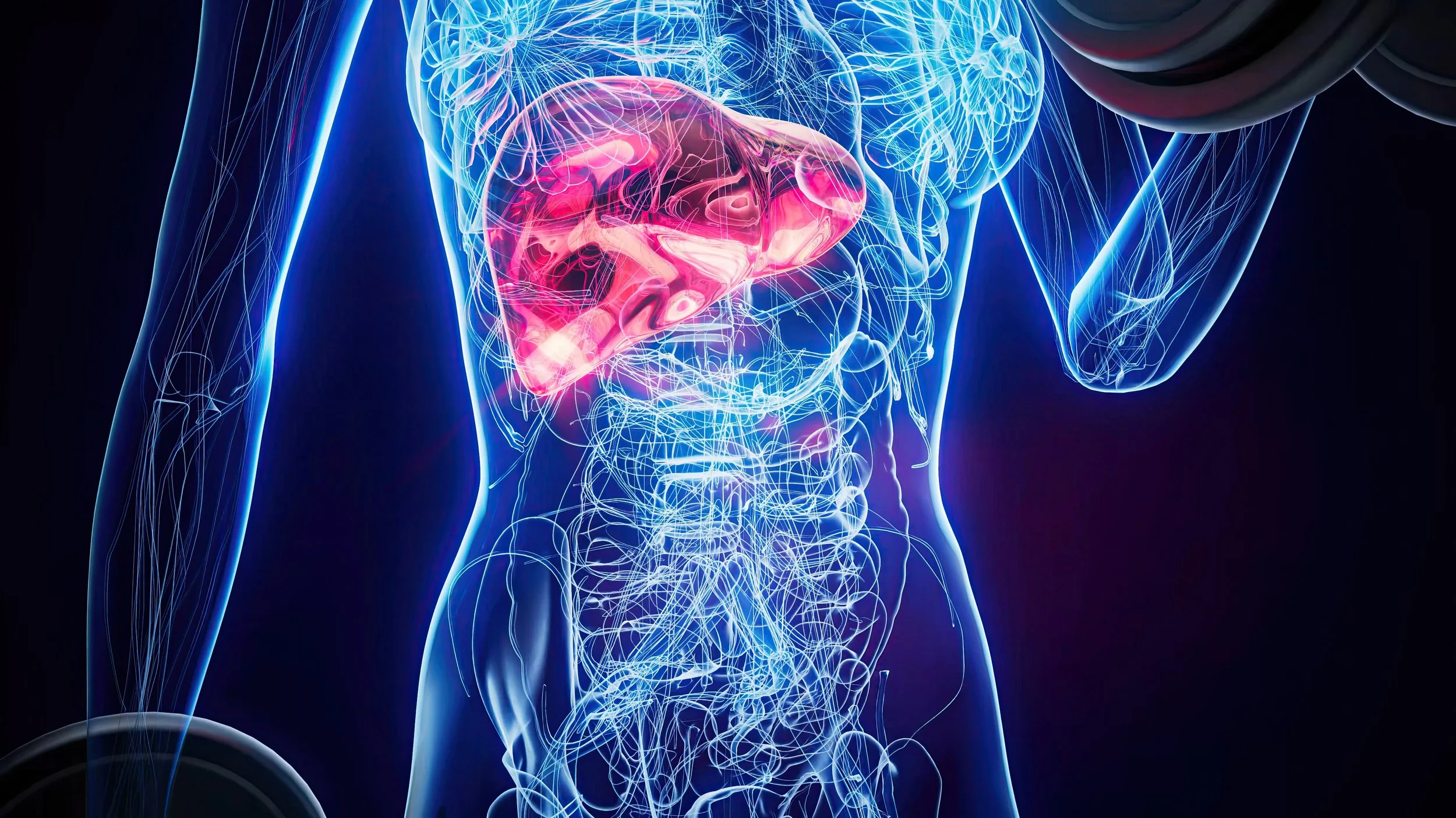 Comprehensive Liver Function Test