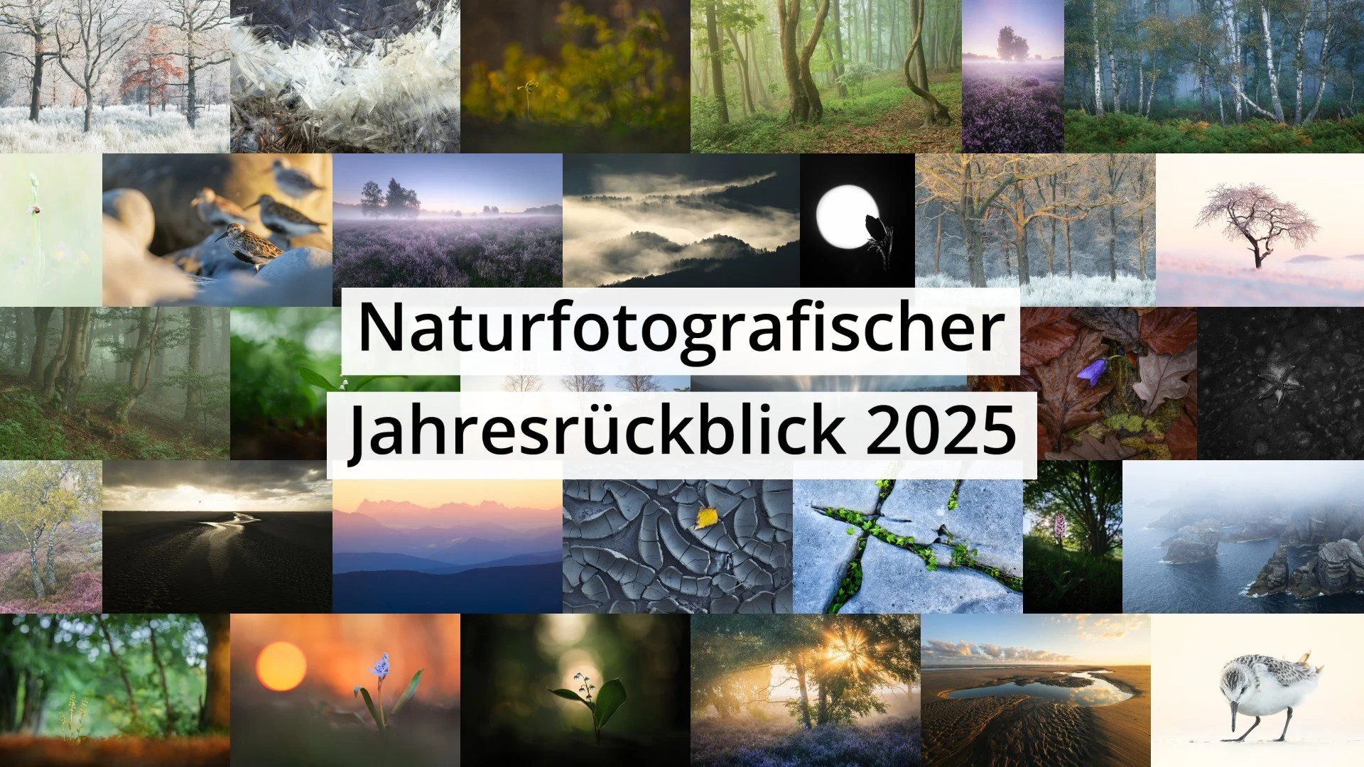 Fotografischer Jahresrückblick 2025